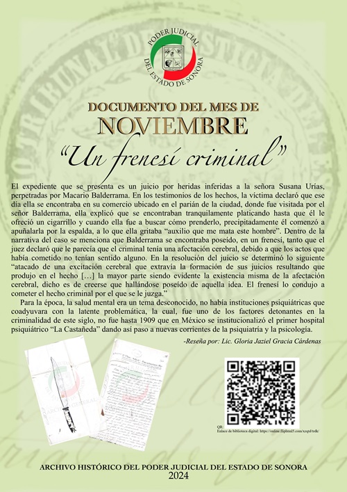 Articulo Noviembre 2024